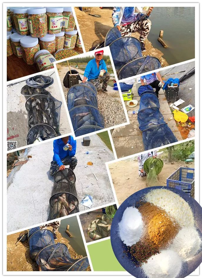 北方夏季偷驴鲤鱼技巧(偷驴鲤鱼用几h杆子合适)