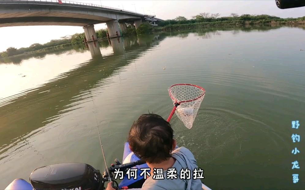 东江怎么玩路亚(东江用路亚可以钓到鱼吗)