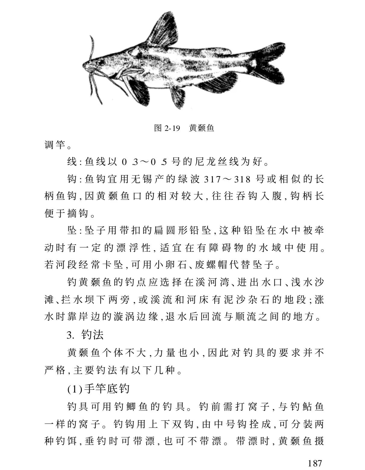 春天钓鲶技巧(密码锁没改怎么打不开了)