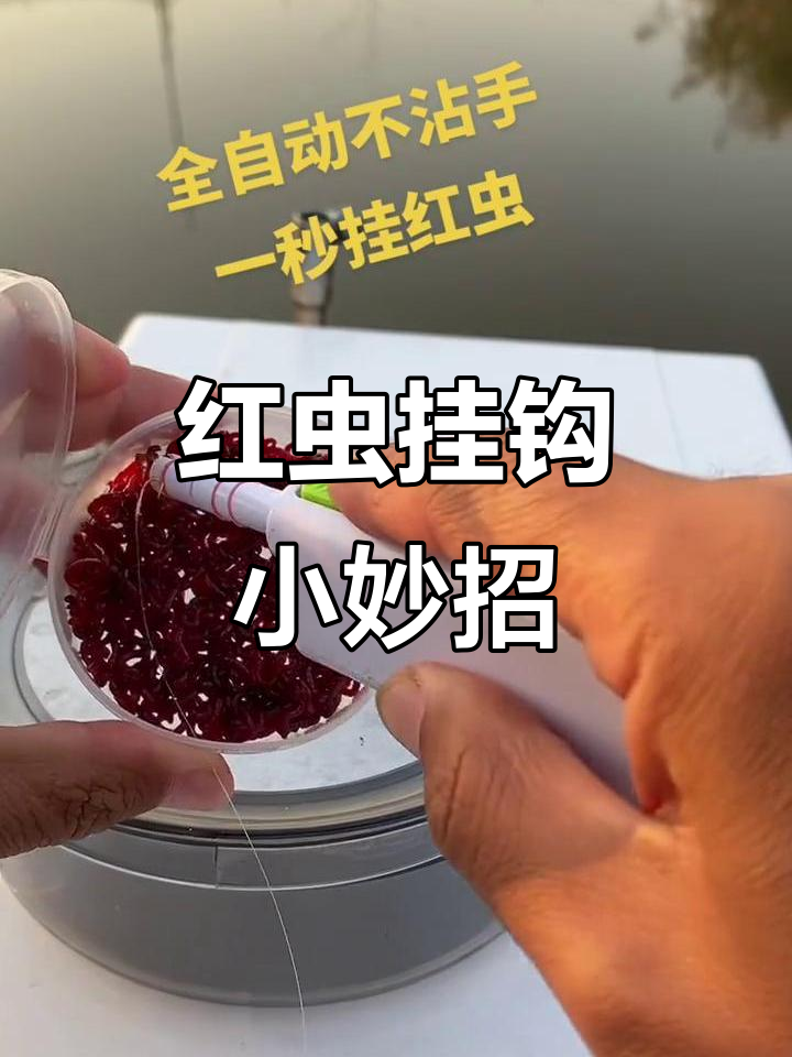 挂蚯蚓技巧(如何挂蚯蚓钓鱼技巧)