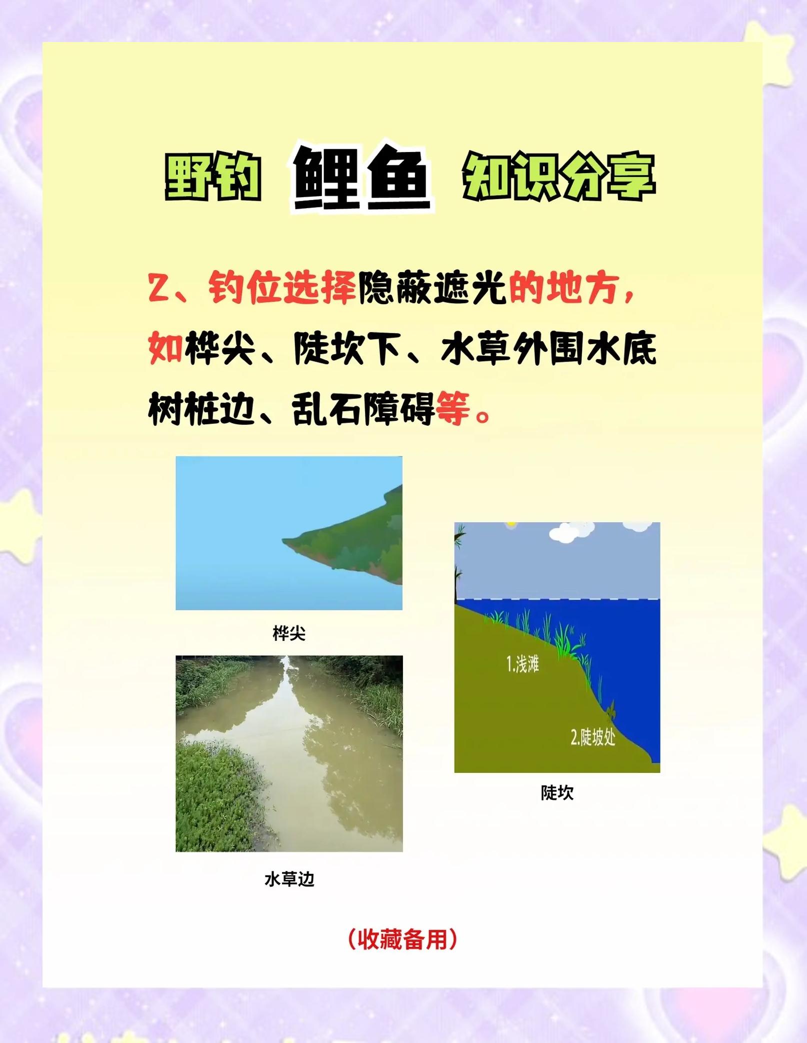 冬季池塘野钓鲤鱼技巧(冬天鱼塘钓鲤鱼用什么饵料最好)