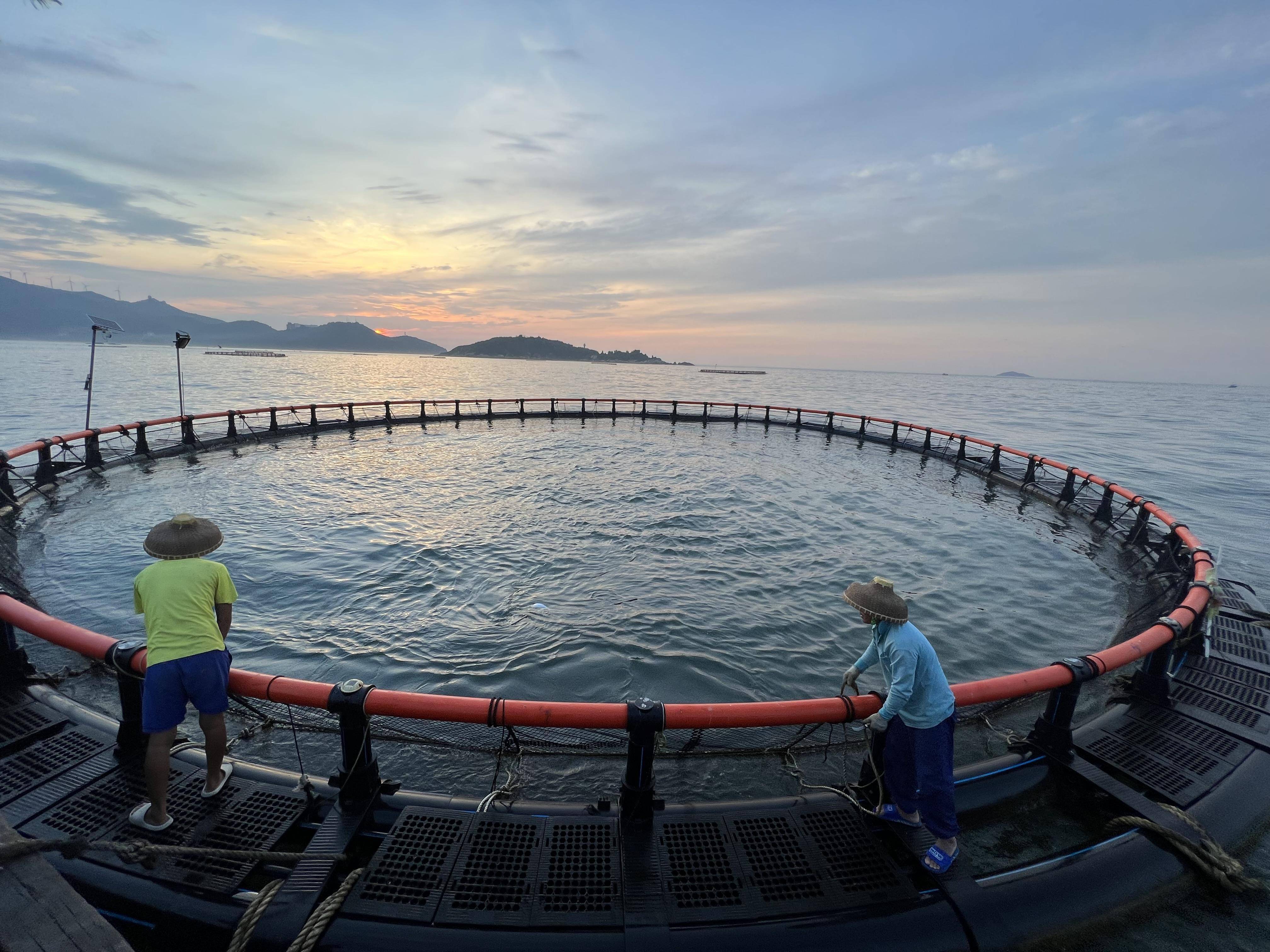 南柵海钓场(南栅有什么好玩)