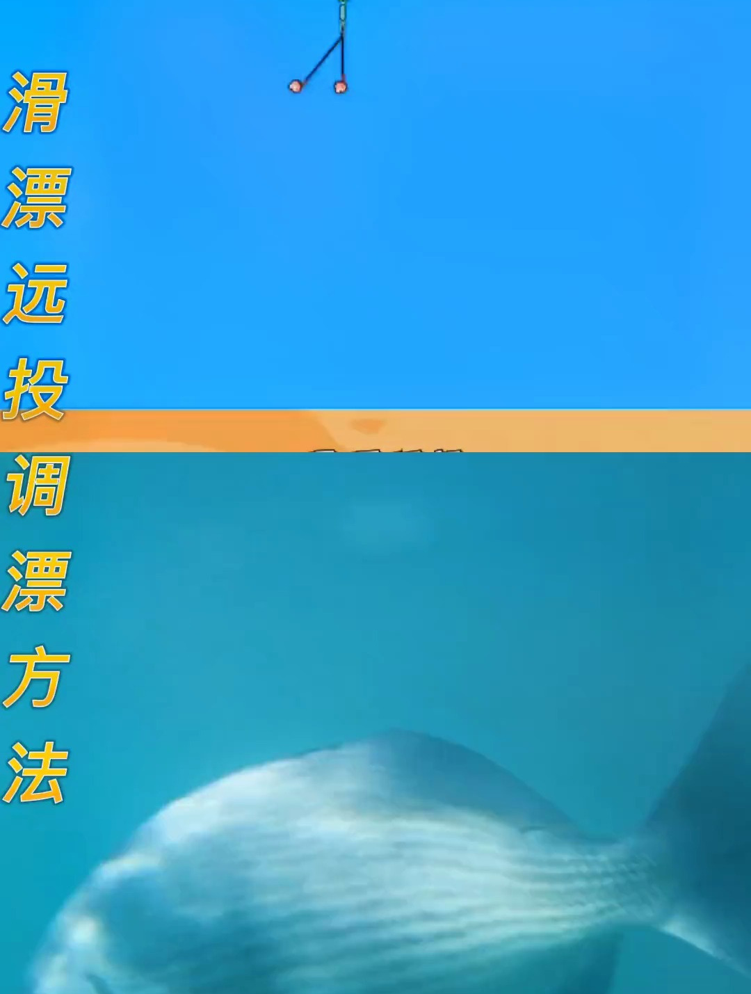 滑漂使用技巧(滑漂钓法如何玩)