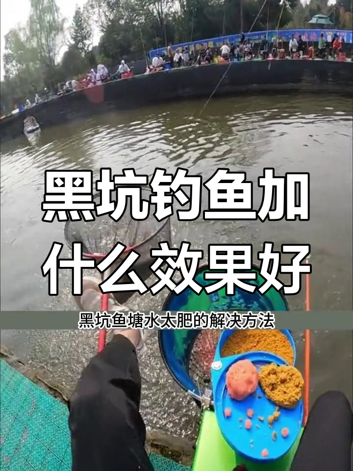 夏天钓鲤鱼用饵技巧(夏天钓鲤鱼用螺鲤几号最好)