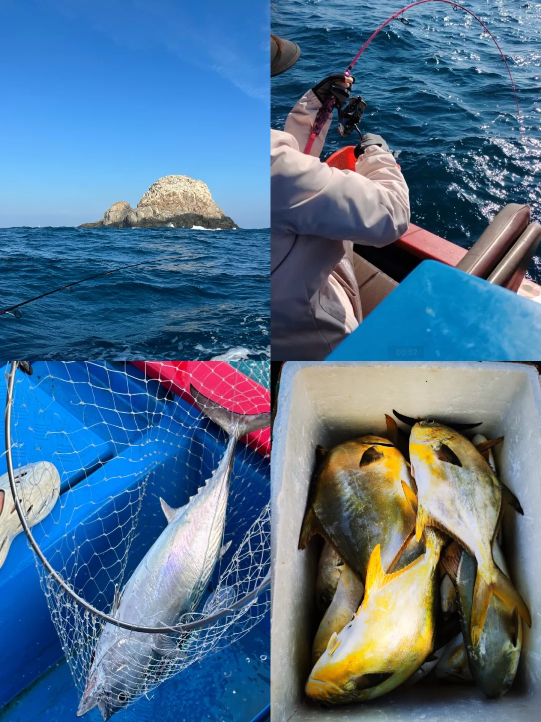 舟山海钓烟仔(海钓烟仔鱼卖多少钱一斤)