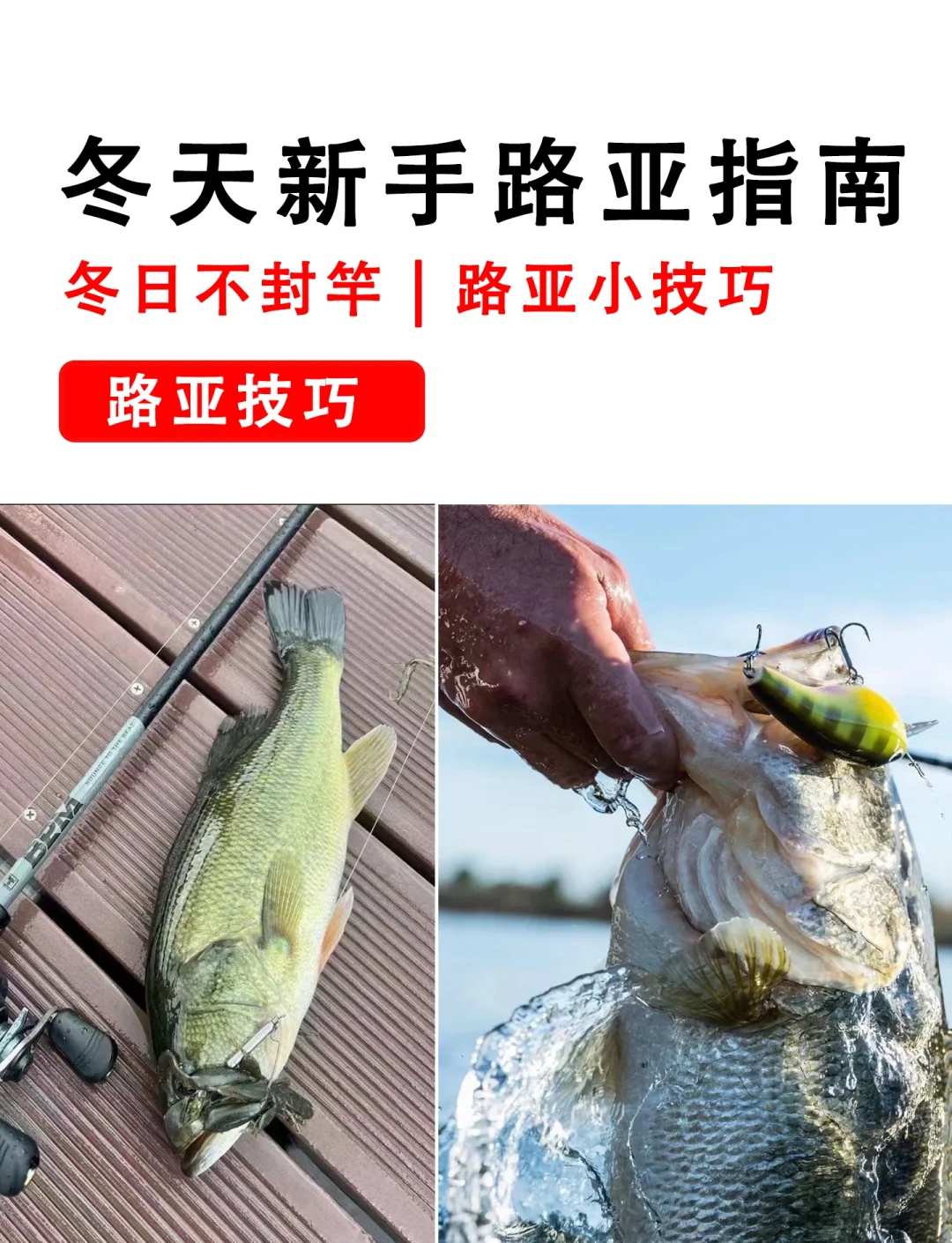 冬季长江怎样路亚(冬天长江可以路亚鳜鱼吗)