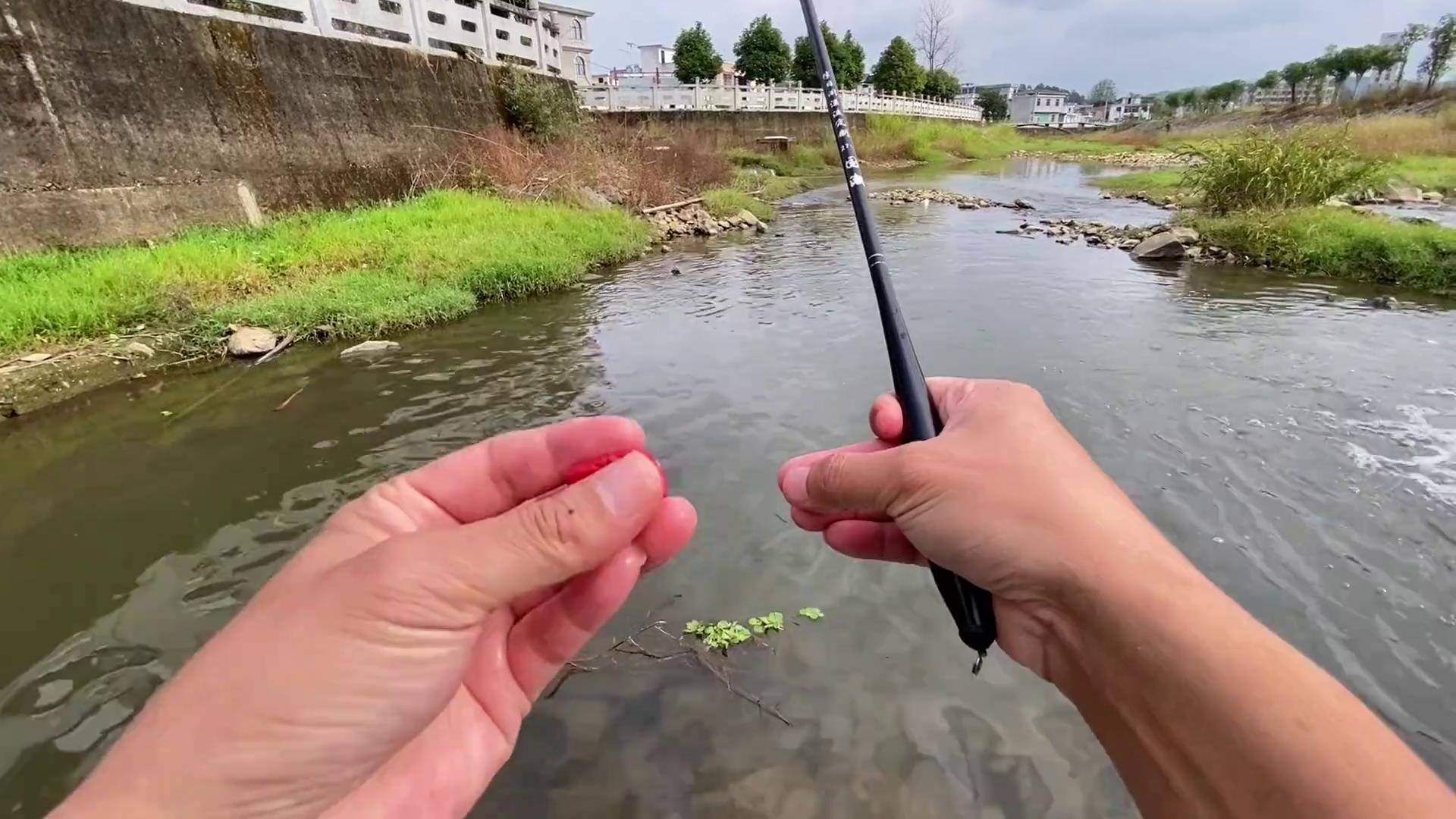 溪流石斑垂钓技巧(溪流石斑鱼用什么饵料钓最好)