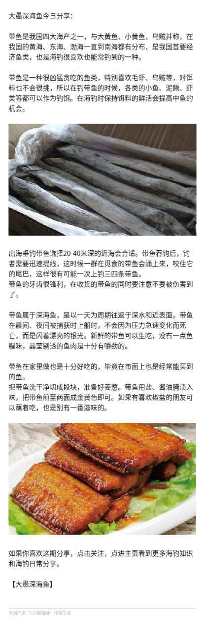 海钓怎么给鱼简单放血(海钓怎么给鱼简单放血视频)