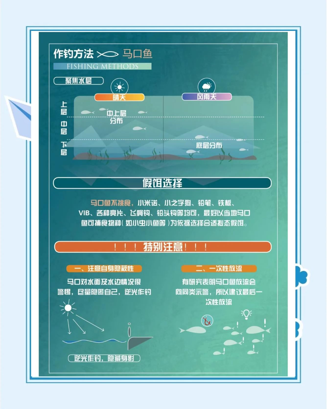 钓马口鱼的技巧(钓马口鱼的技巧视频)