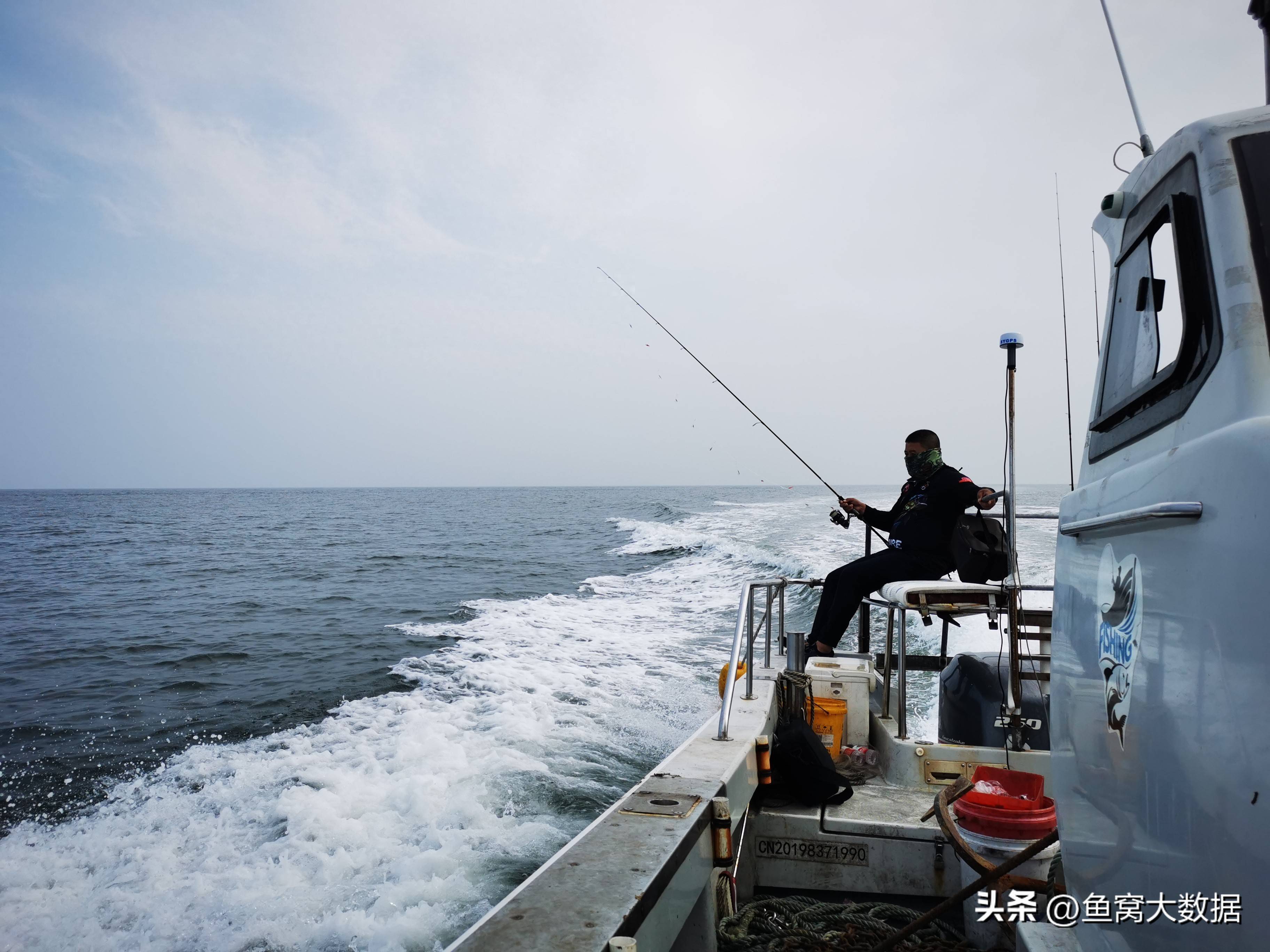 珠海钓鱼吃饭(珠海可以钓鱼吃饭打牌的农庄)