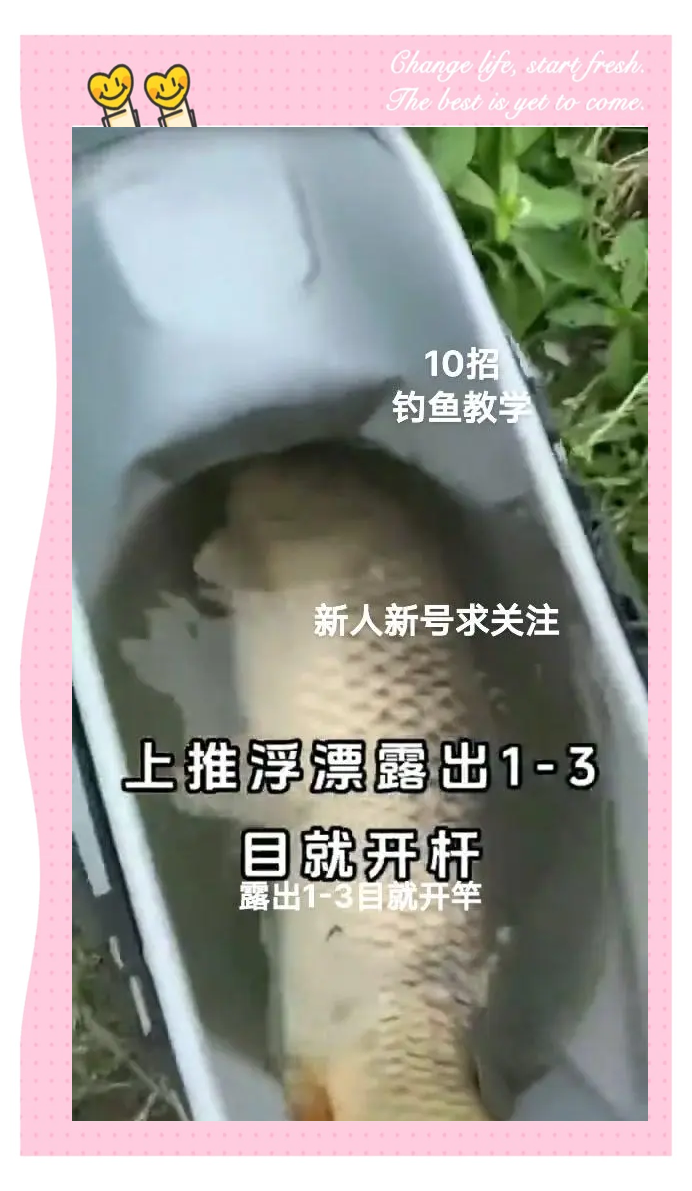 临沂青风岭水库钓鱼技巧(莒县青峰岭水库清淤什么时候开始)