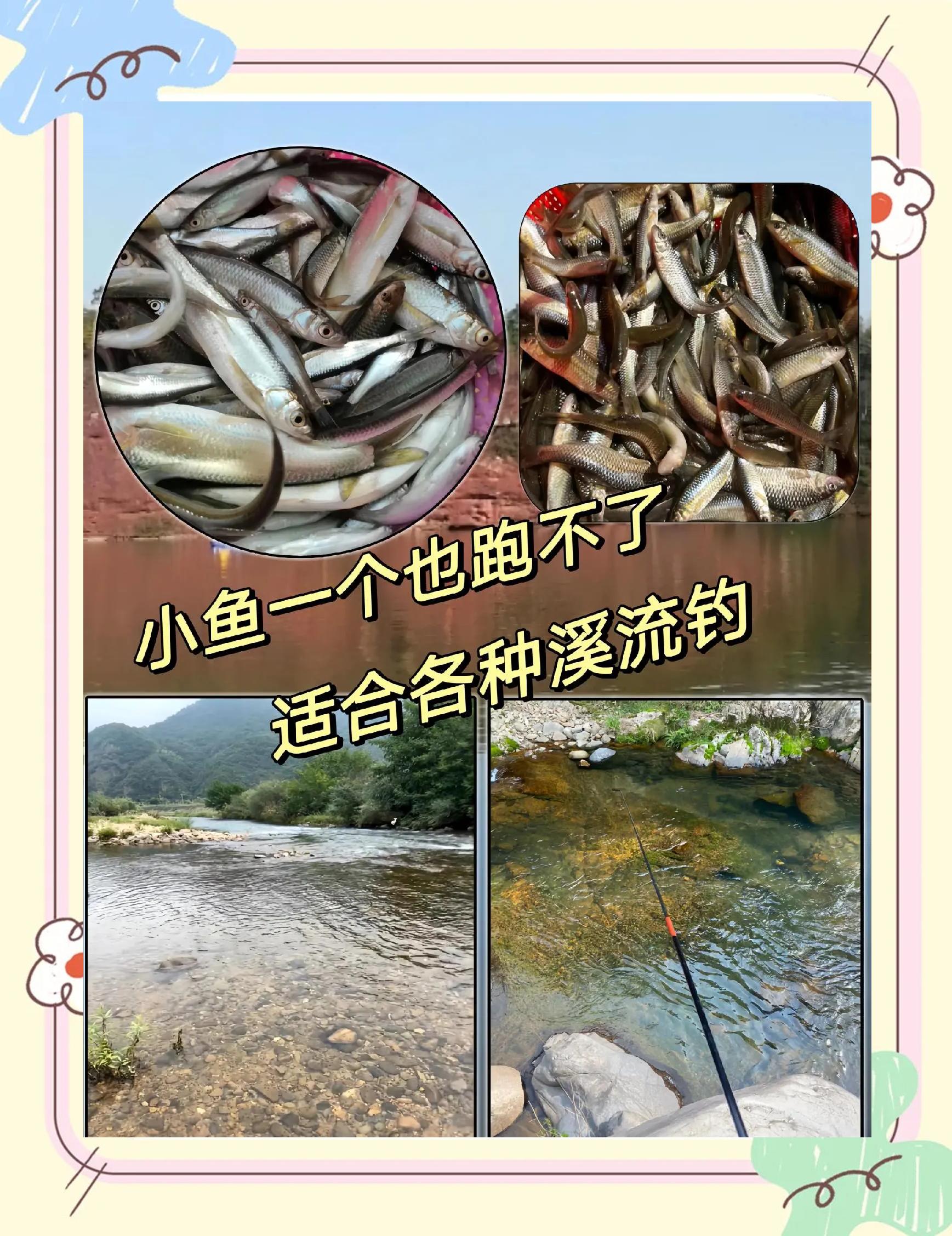 冬季溪流钓技巧(冬天小溪里的鱼都躲哪去啦)