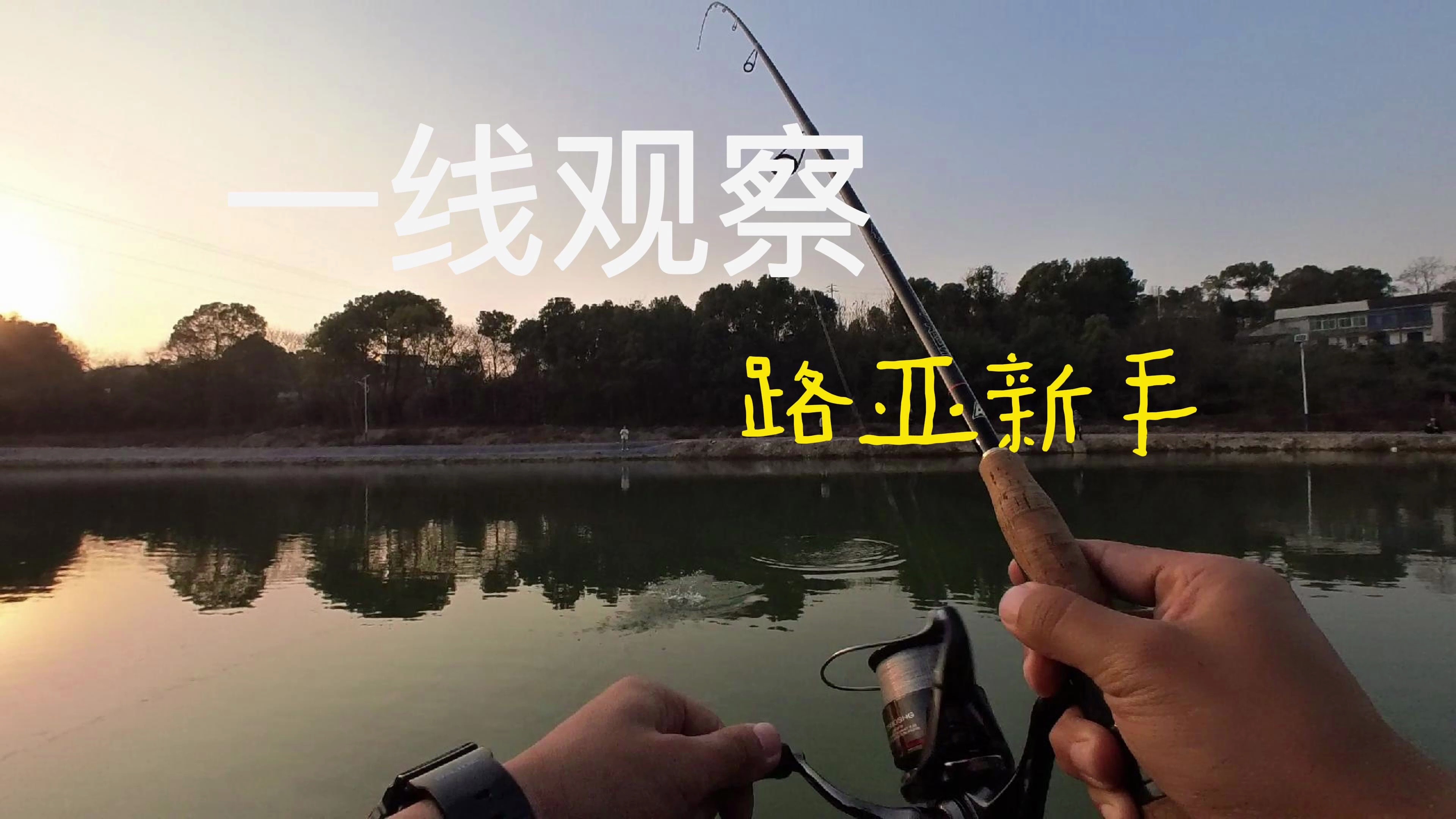 路亚爆线视频直播(路亚炸线严重怎么解开)