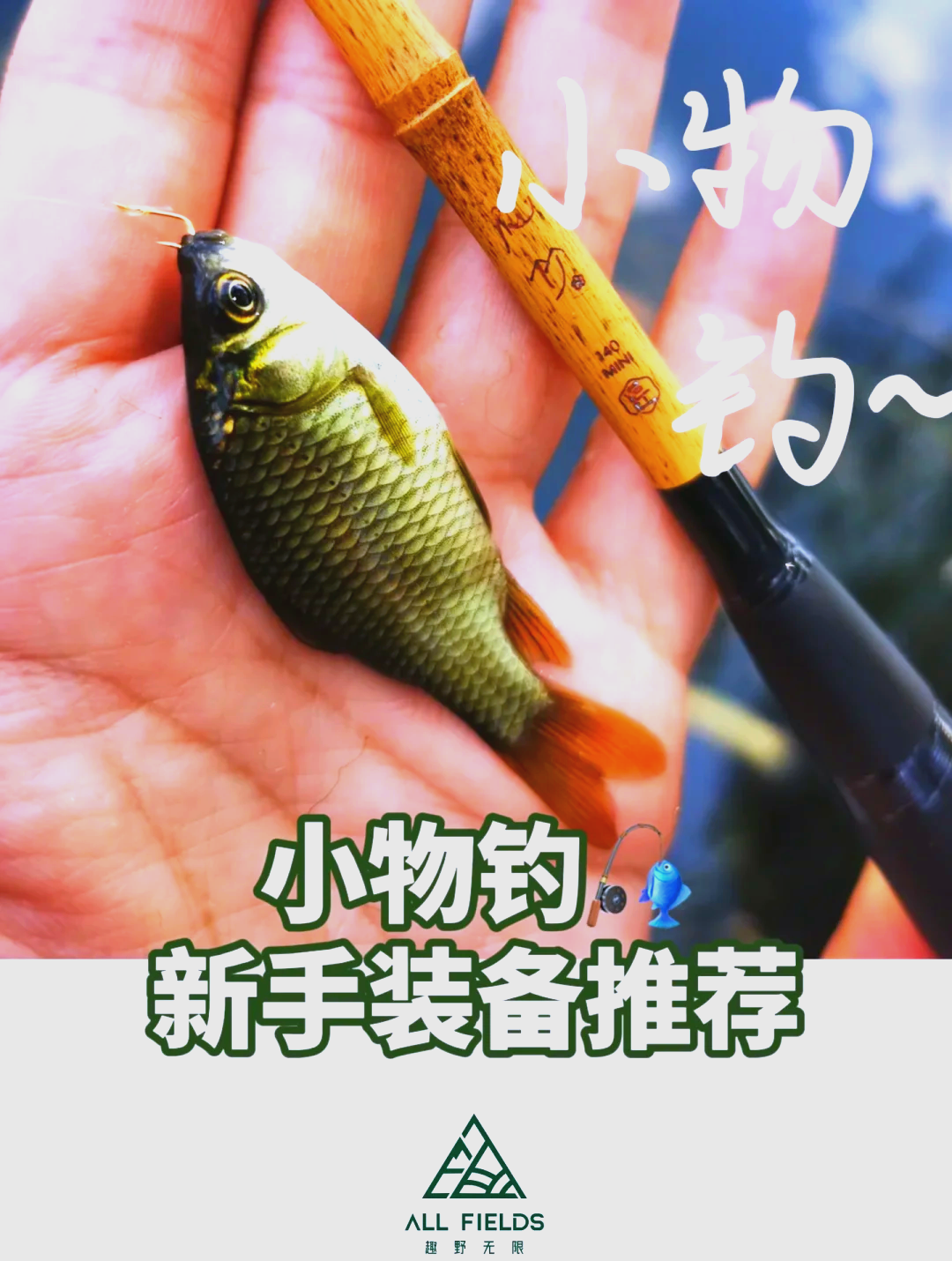 初学者怎么组装渔具(初学者怎么组装渔具视频)