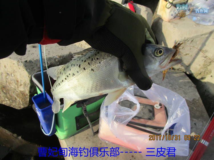 曹妃甸海钓饵料(曹妃甸海钓饵料批发市场)