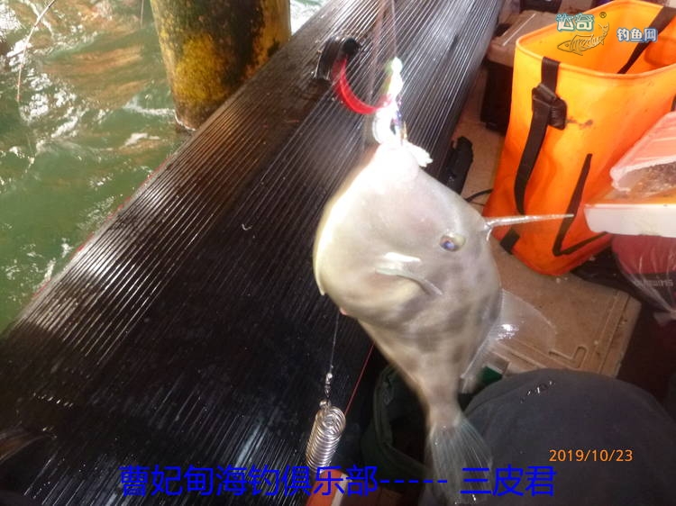 曹妃甸海钓饵料(曹妃甸海钓饵料批发市场)