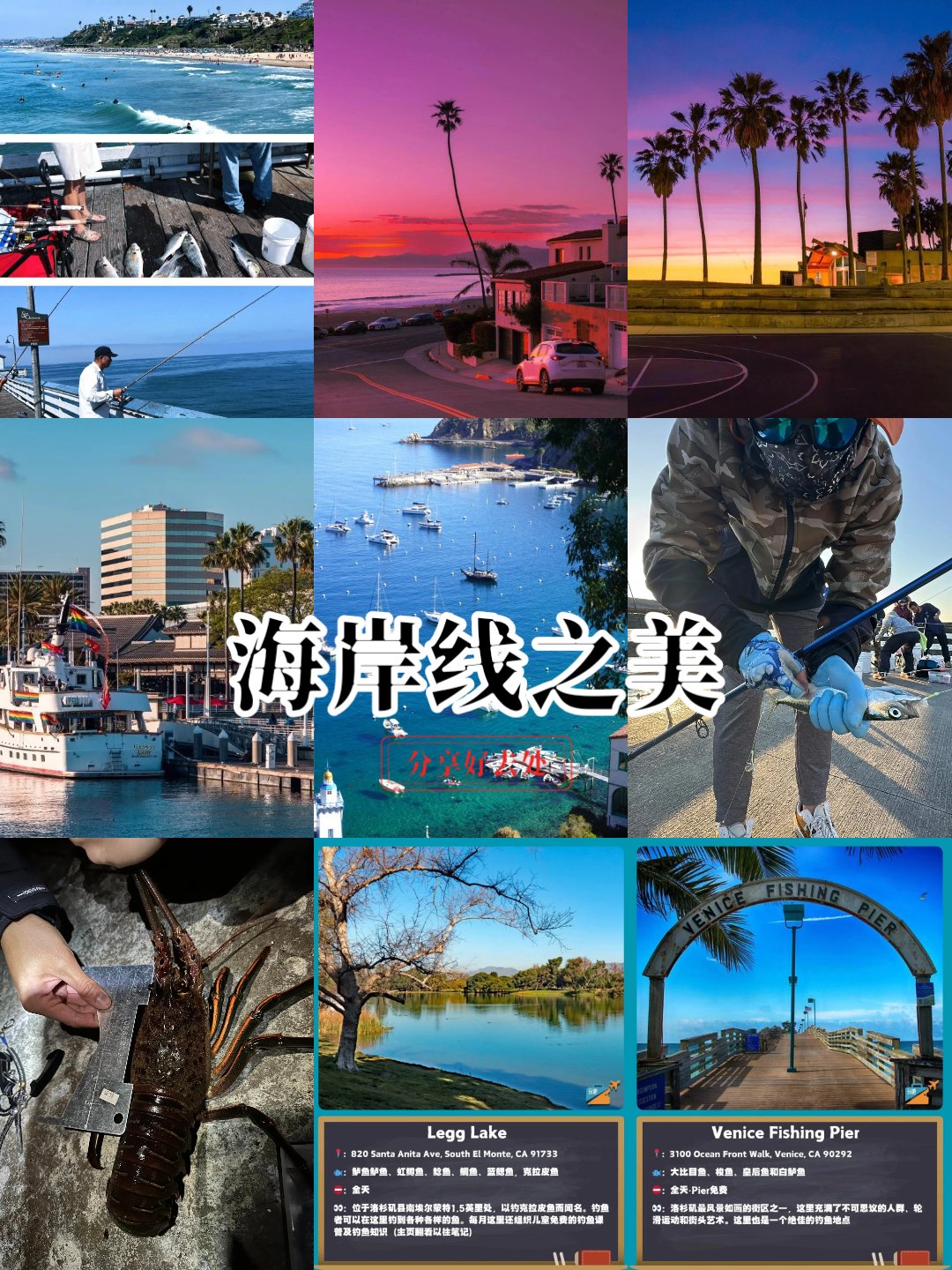 秋季海钓地点(秋季海钓用什么鱼饵)