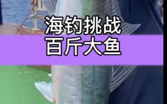 南宁深海钓(2020南宁哪里钓鱼)