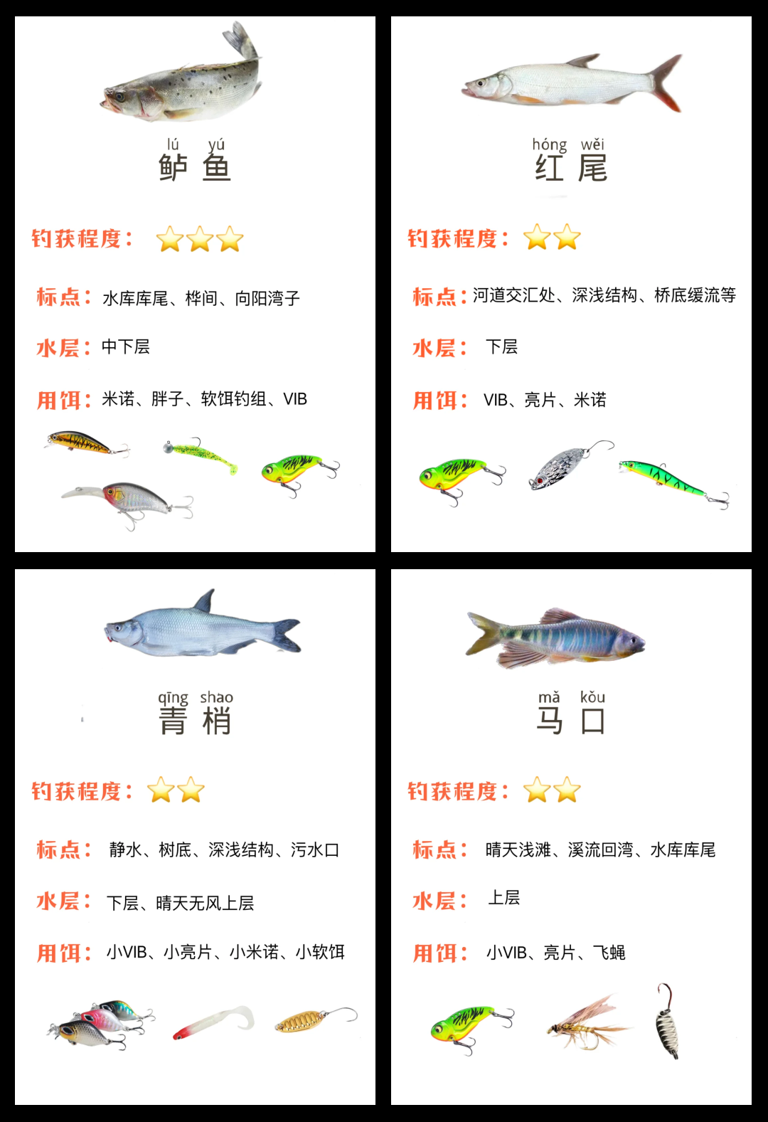 化邵新冬季钓鱼技巧(化绍新冬天野钓鲫鱼视频)