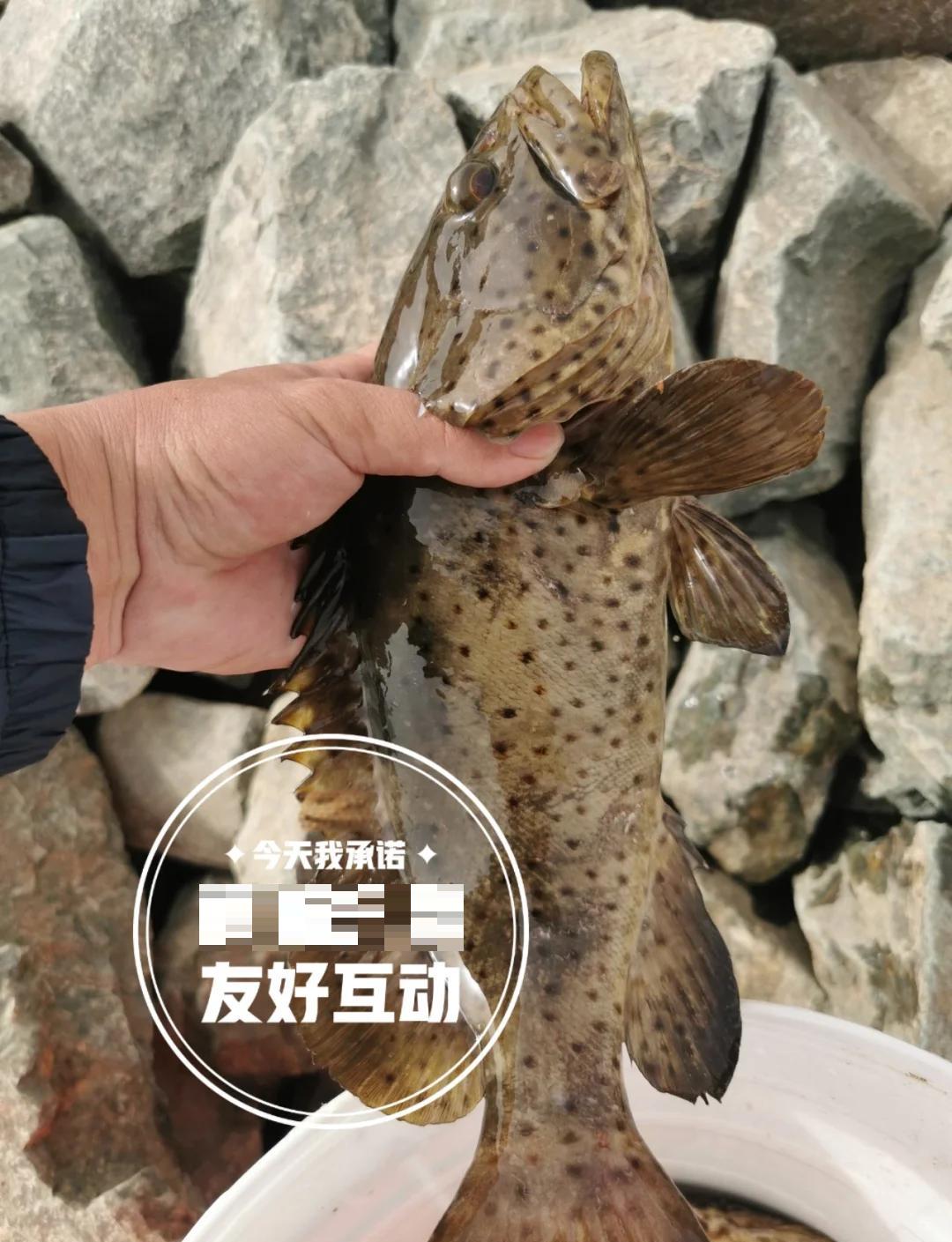 宝鸡路亚地点(宝鸡免费钓鱼好去处)