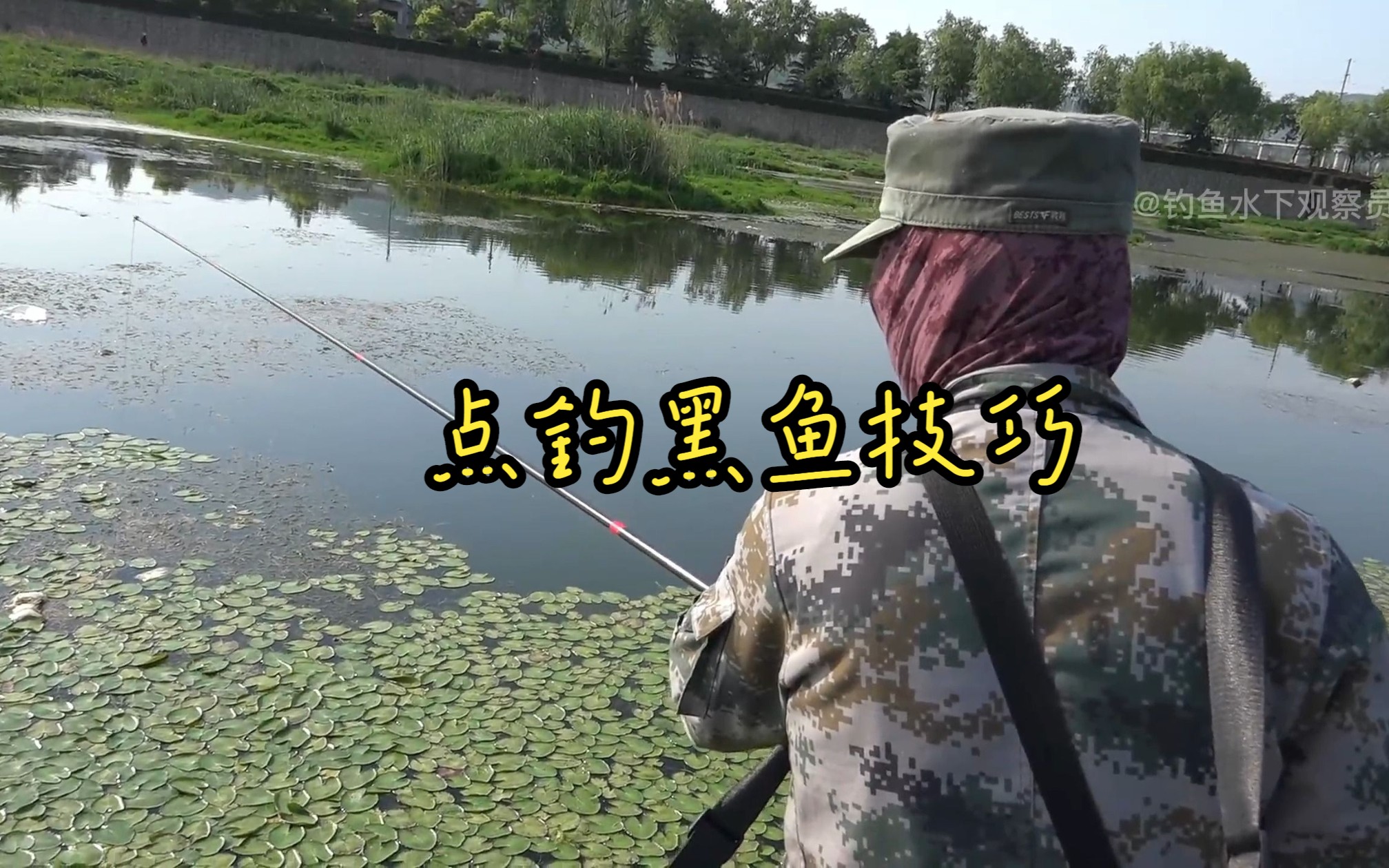钓黑鱼技巧位置(钓黑鱼的方法和技巧)