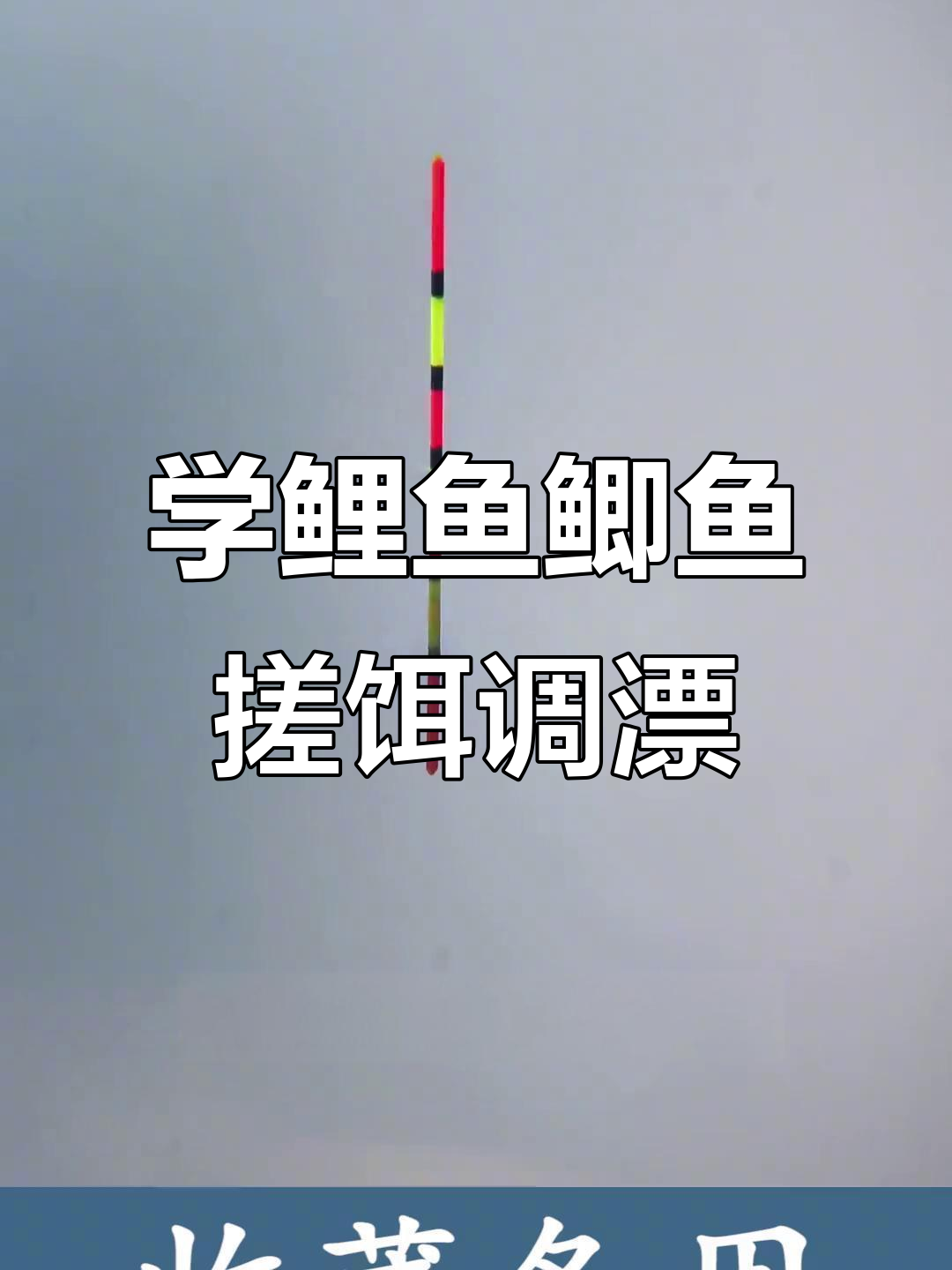 鲤鱼钓调漂技巧(鲤鱼钓调漂技巧图解)