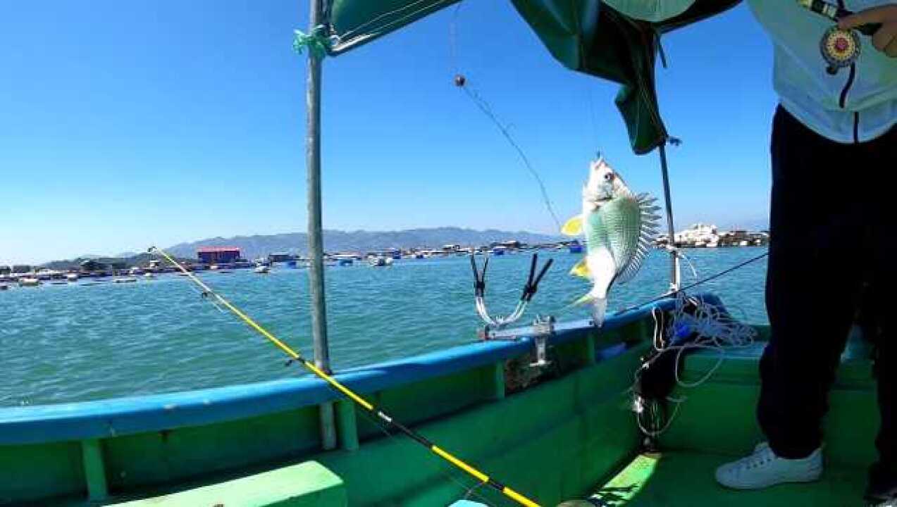 海钓网箱视频(海钓网箱视频讲解)