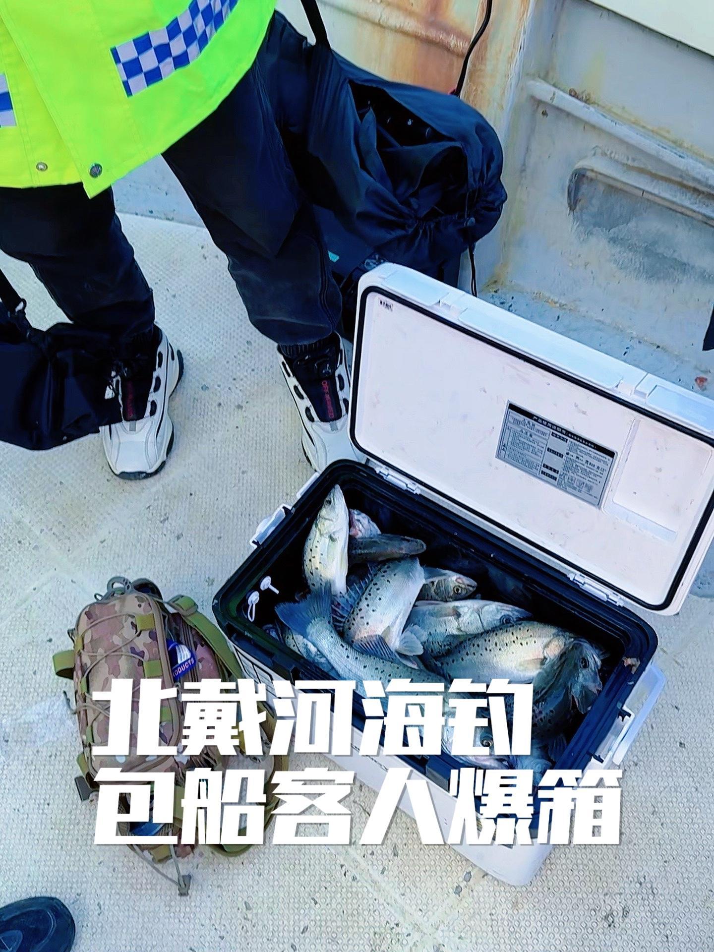 海钓网箱视频(海钓网箱视频讲解)