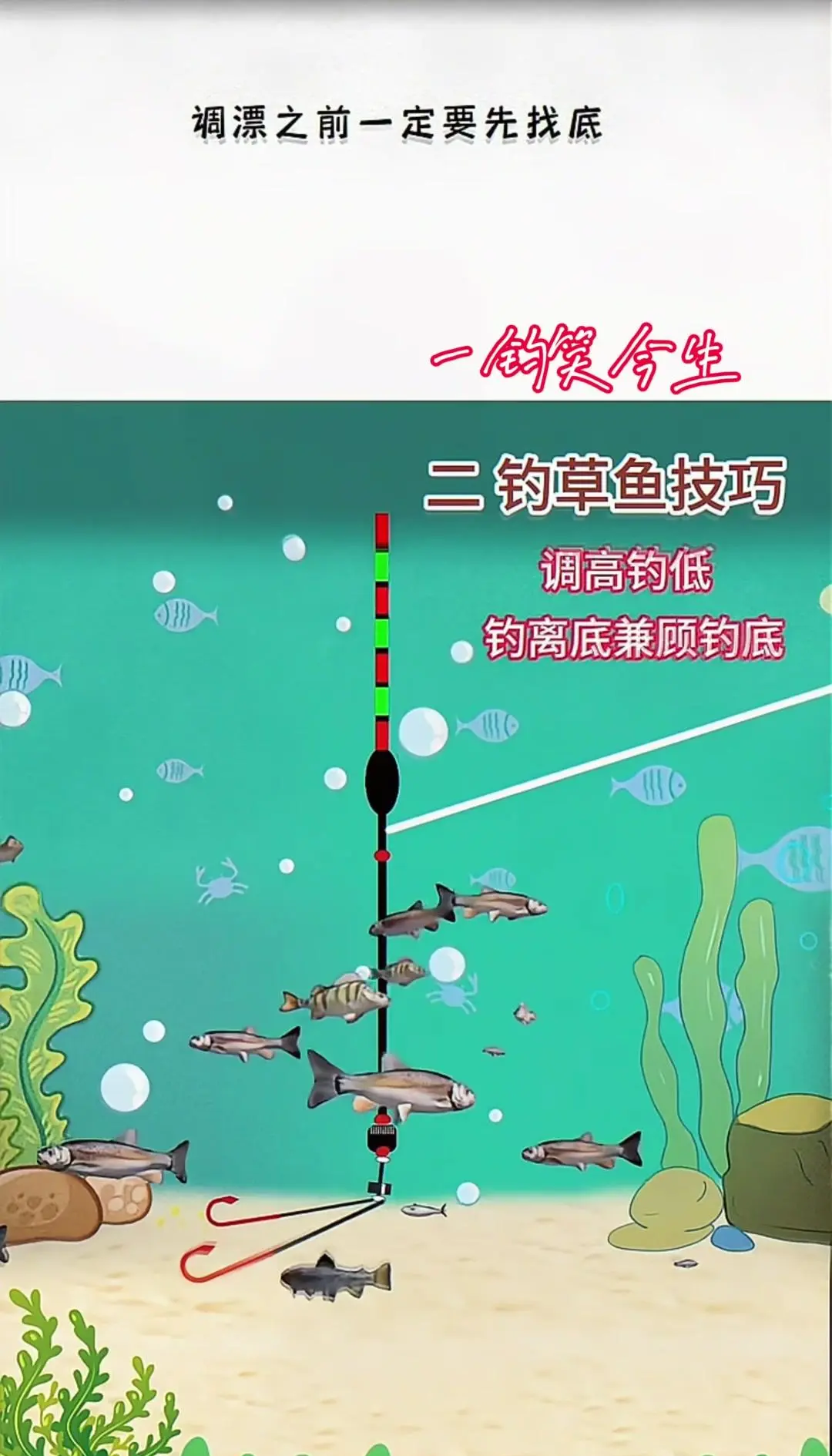 长手杆钓鱼技巧(长手杆钓鱼技巧视频)