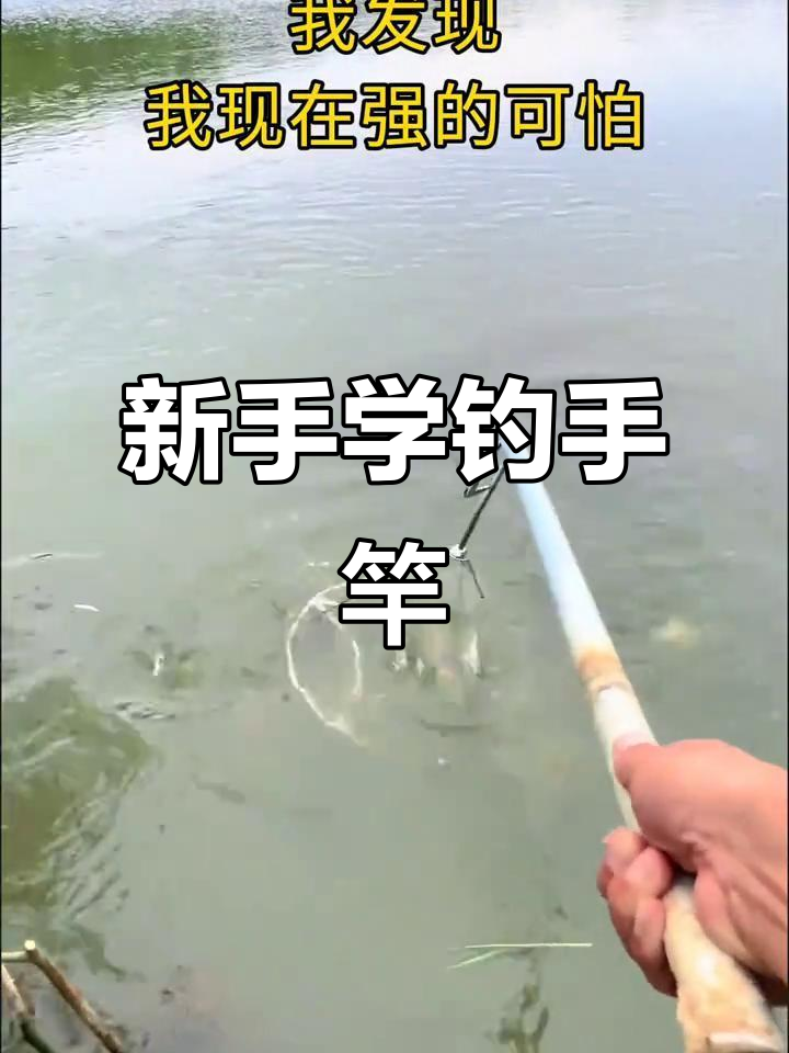 长手杆钓鱼技巧(长手杆钓鱼技巧视频)