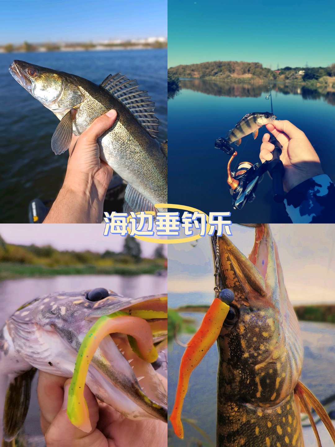 深海钓鱼人的向往(深海钓鱼一般有哪些鱼)