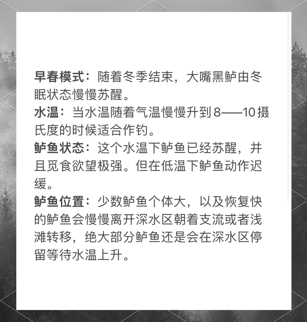冰钓鲈鱼的方法和技巧(冰钓鲈鱼的方法和技巧图解)