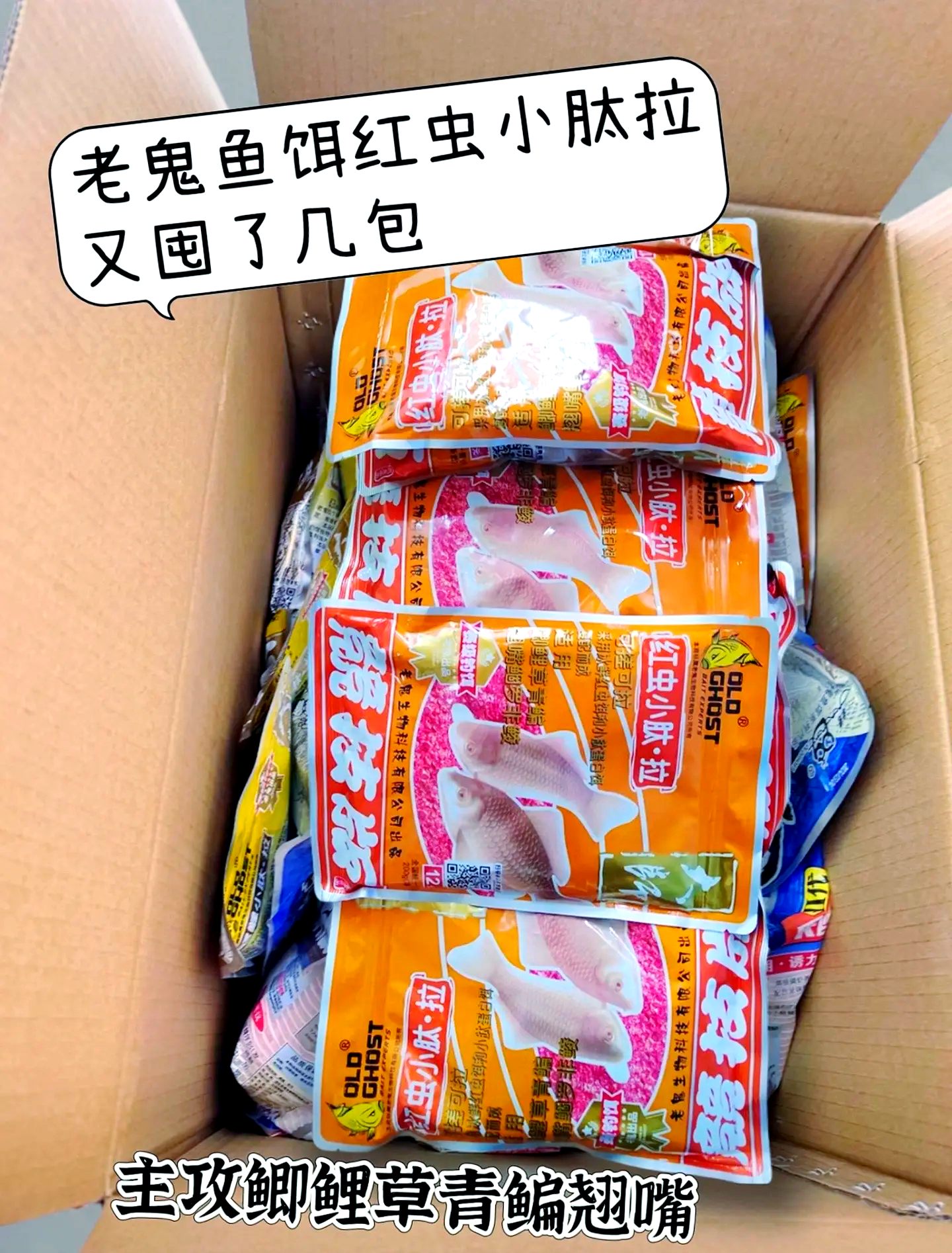 老鬼新出的饵料(老鬼新出的饵料图片)
