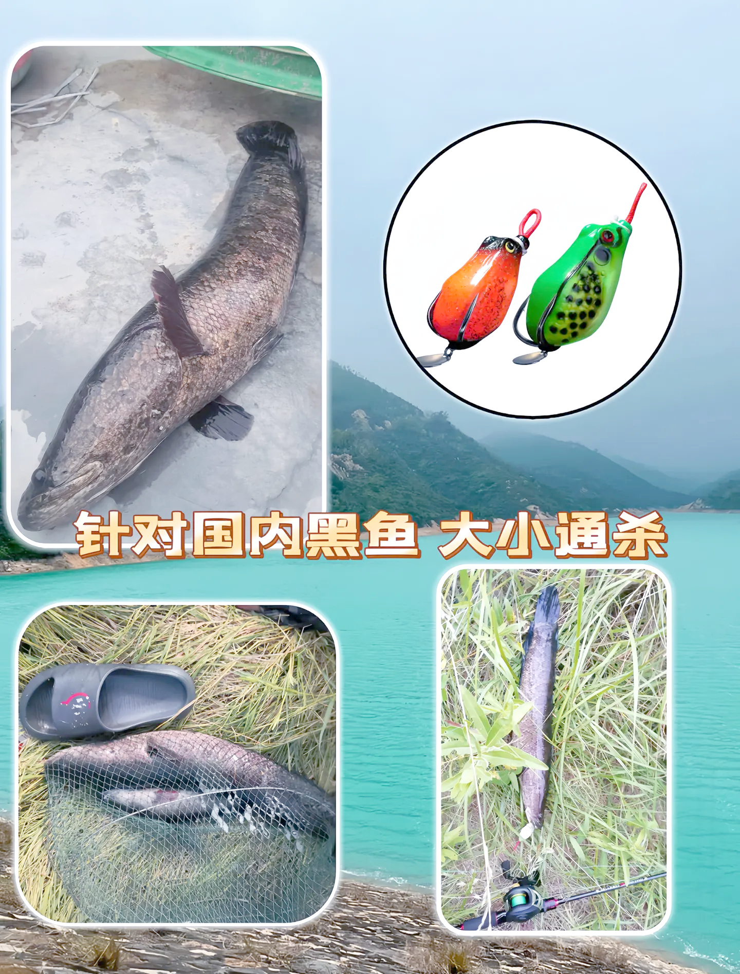 雷蛙抖动技巧(雷蛙操作手法视频教程)