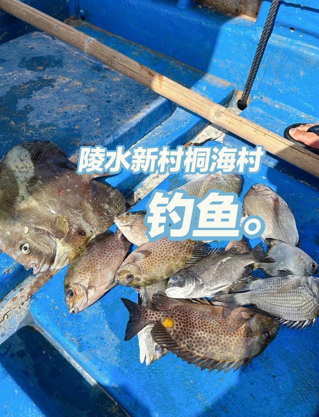 鱼排海钓立鱼(海钓排钓的制作方法视频教程)