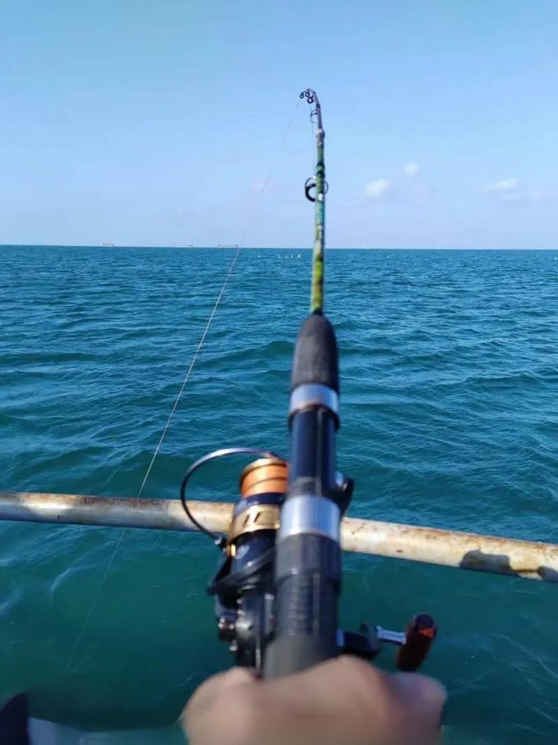 海钓温度(海钓温度2至8度能钓上鱼吗?)