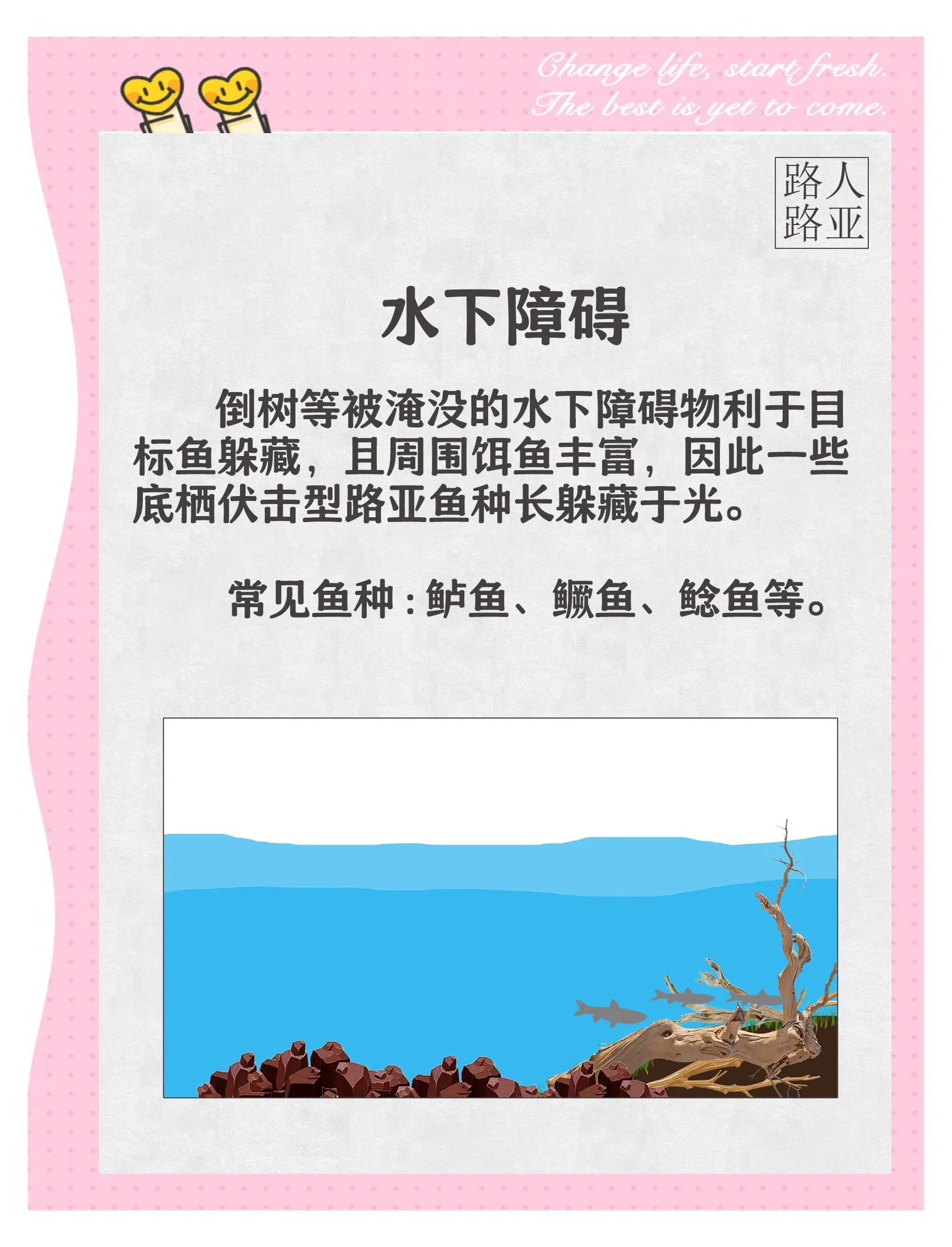 水库博大物的技巧(水库守大物用什么饵料)