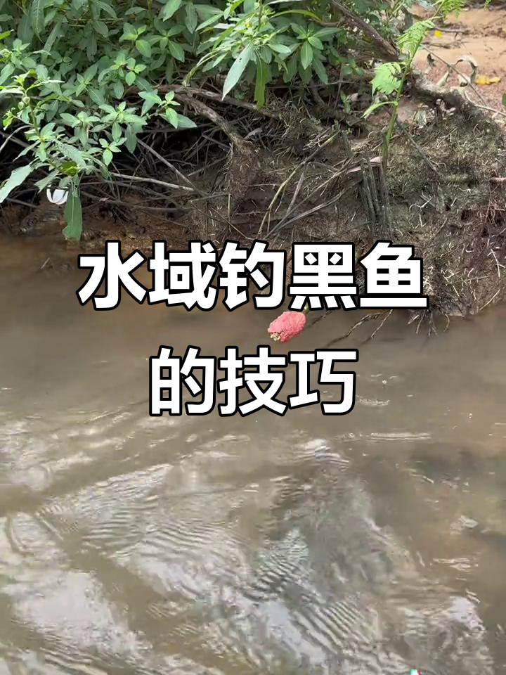 河里钓黑鱼鱼技巧(大河里面怎么钓黑鱼)