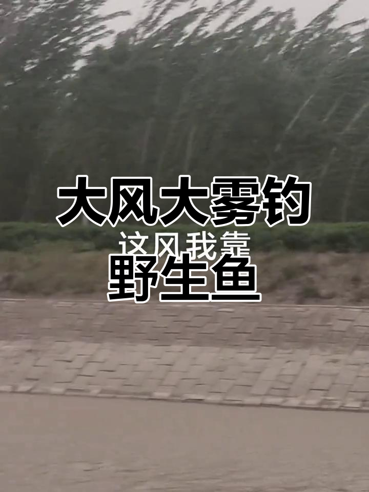 冬钓大风天技巧(初冬大风天可以钓鱼吗)