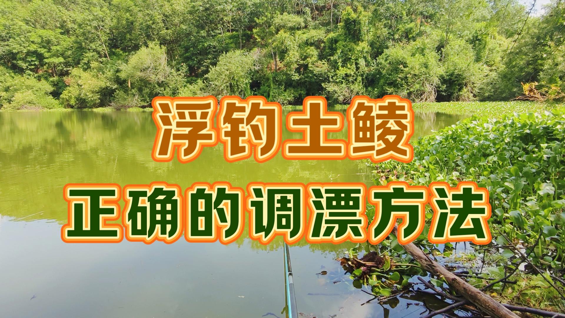 钓土鯪技巧(钓土鲮技巧分享)