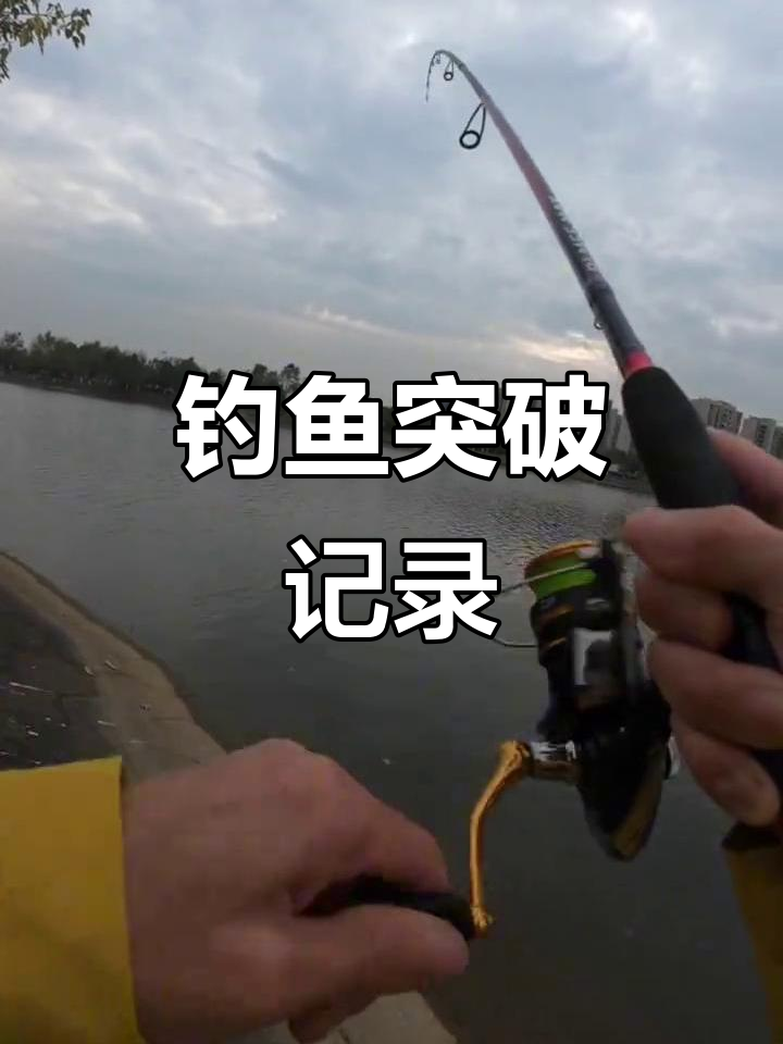 夏天钓夜黄尾鱼技巧(夏天钓夜黄尾鱼技巧视频)