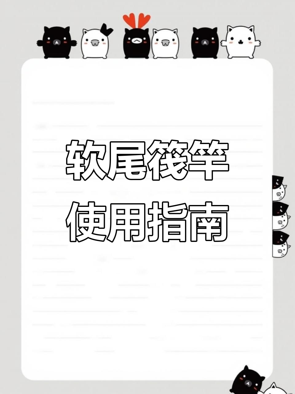 筏竿入门技巧(筏竿初学怎么使用视频)