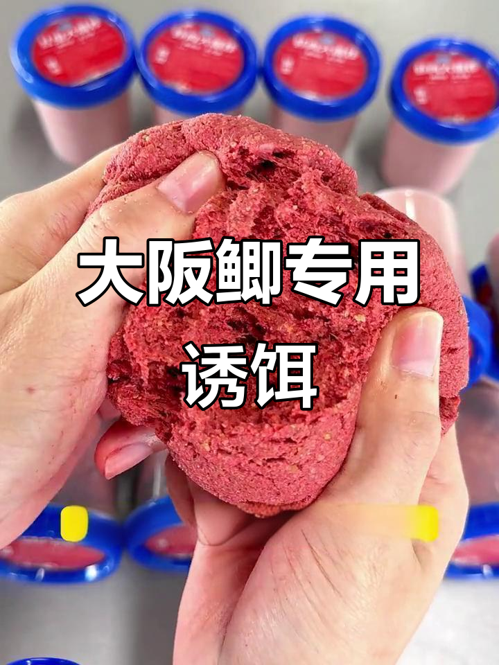 夏季钓鱼用哪些饵料(夏季钓鱼选择什么鱼饵料)