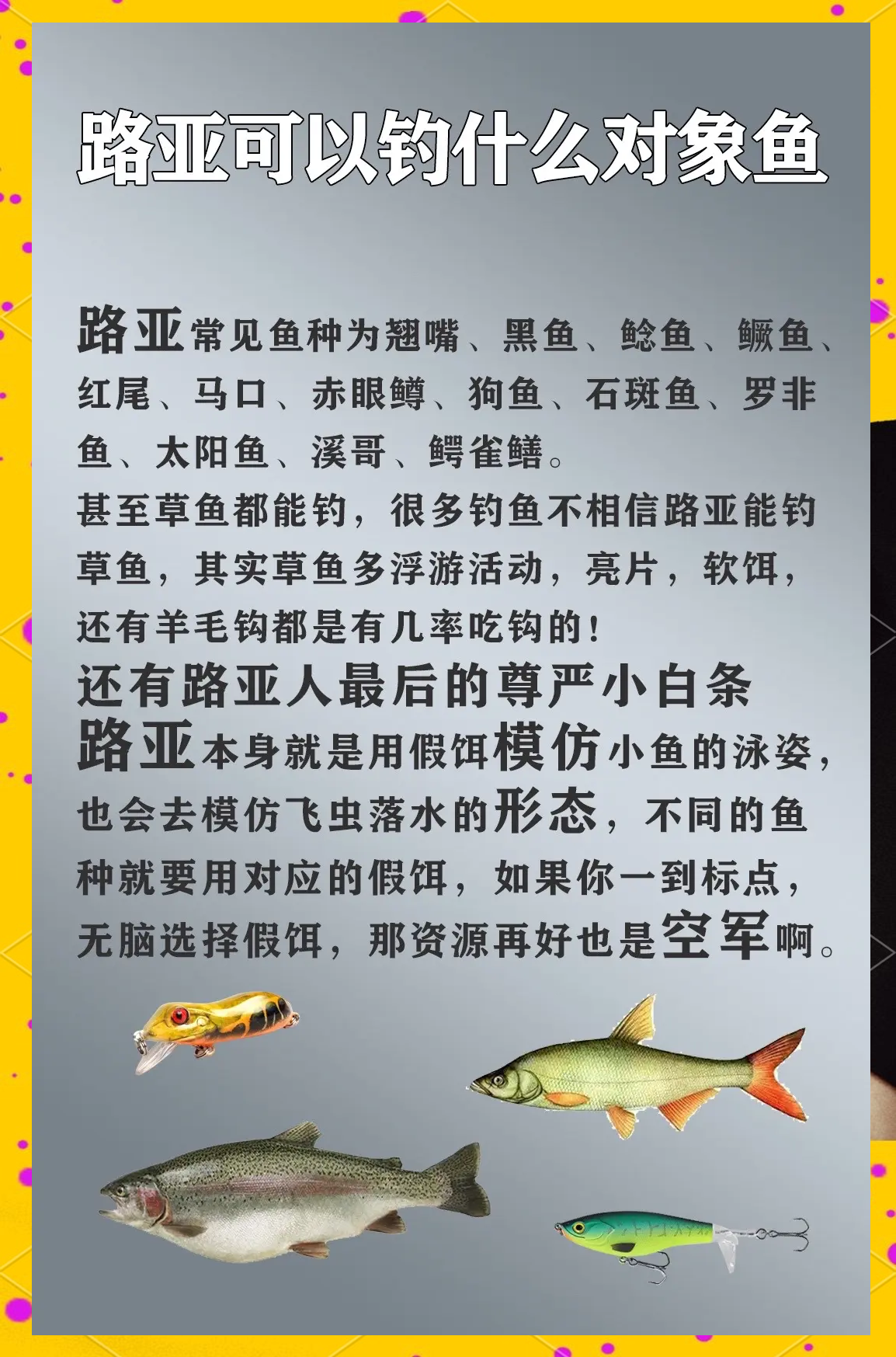 路亚经验技巧(路亚技巧教学视频)
