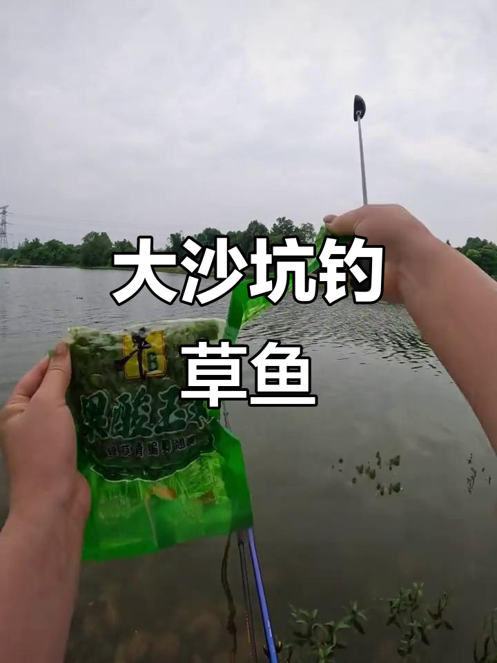 沙坑钓鱼技巧百科(沙坑钓鱼技巧百科大全)