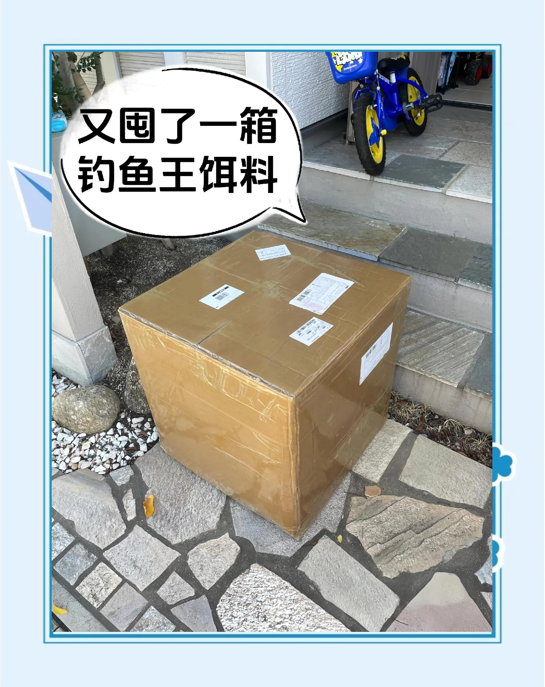 民间钓白莲饵料(民间钓白莲饵料有哪些)