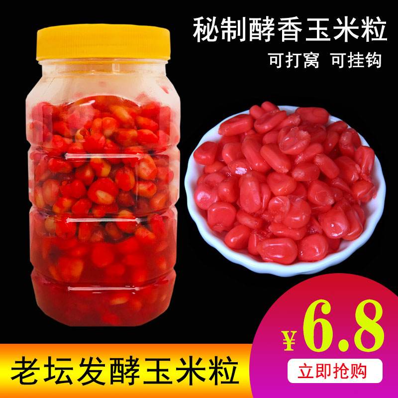 酒糟做饵料(酒糟做窝料钓鱼的配方)