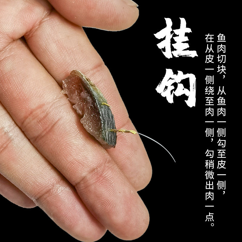 海钓沙丁鱼腌制(海钓沙丁鱼技巧小妙招)