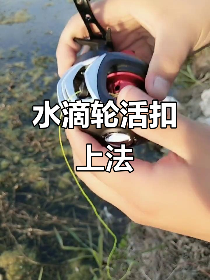 水滴轮夜钓技巧(水滴轮适合夜钓吗)