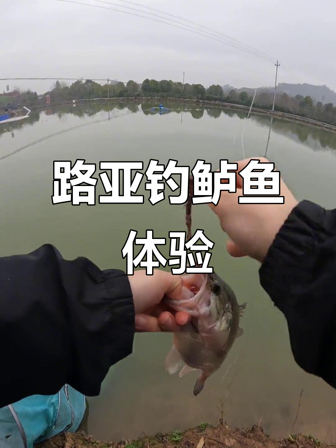湘江路亚(湘江路亚钓点)